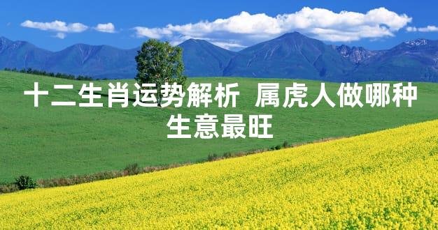 十二生肖运势解析  属虎人做哪种生意最旺